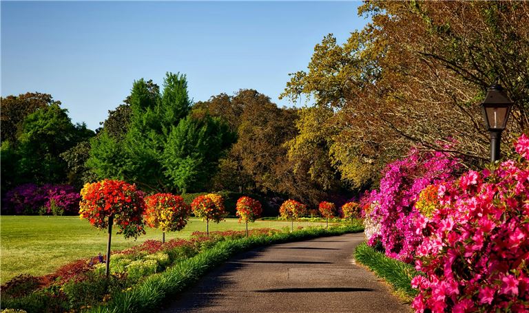 Lawn care company 