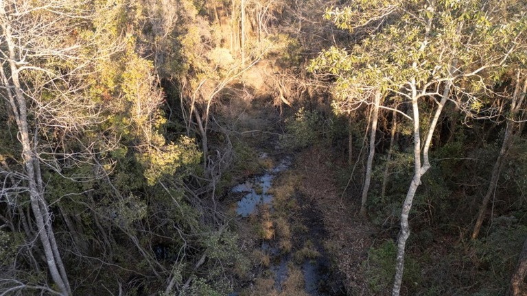 Creek