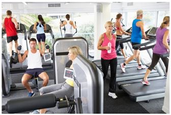 Established Commercial Fitness Equipment Vendor in Colorado