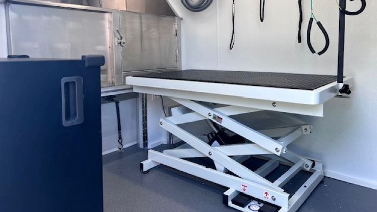 Grooming Table