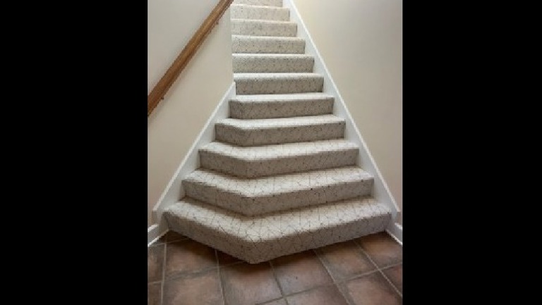 Carpet