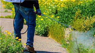Home-Based Mosquito Control Business with Strong Growth Potential