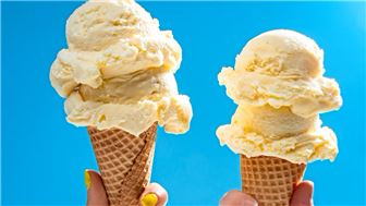 Ice Cream Franchise in North Dallas 2809