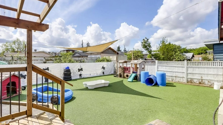 Dog Yard