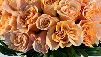 Established High-End Floral Boutique for Sale.