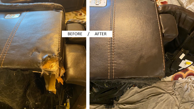 Recliner Dog Damage