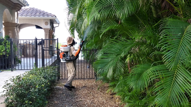 Mosquito Hunters Lee County Mosquito Treatment