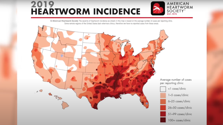 Mosquito and Heartworm Map