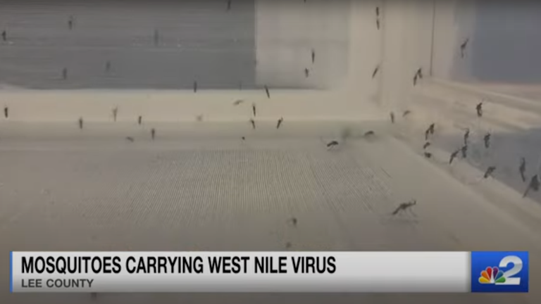 Mosquitoes and West Nile Virus in SWFL News
