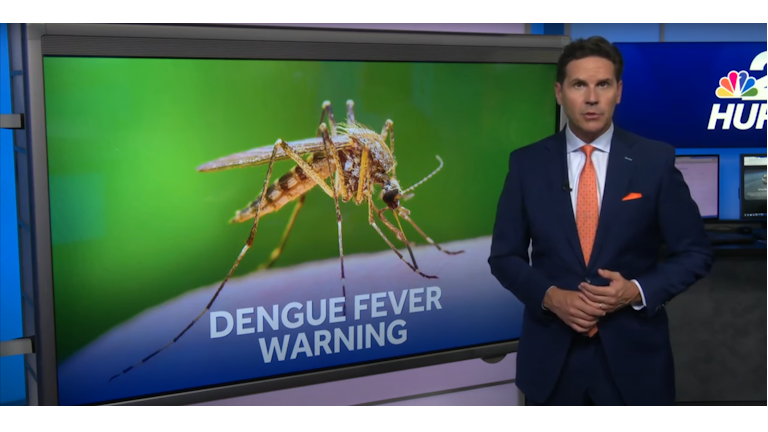 Moquitoes and Dengue Fever in the SWFL News