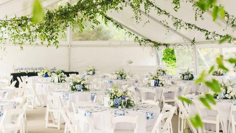 Reception Space
