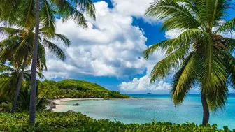 Well-Established Family Medicine Practice in Prime Caribbean Location