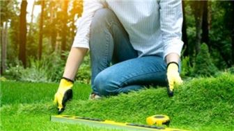Artificial Grass Surfacing