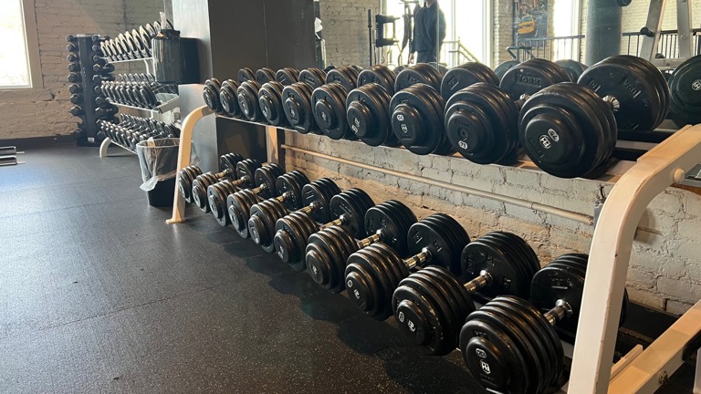 Free Weights