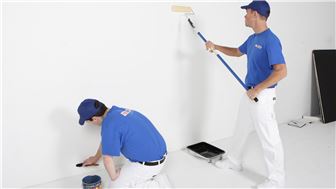 Established Painting Business