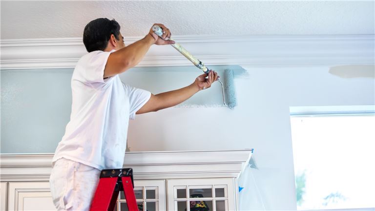 established painting business for sale Newport News, VA