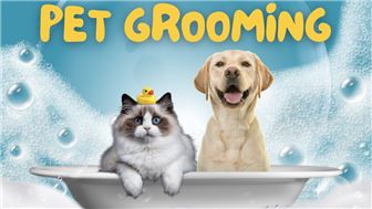 Lucrative Opportunity to acquire a Beautiful Pet Grooming business