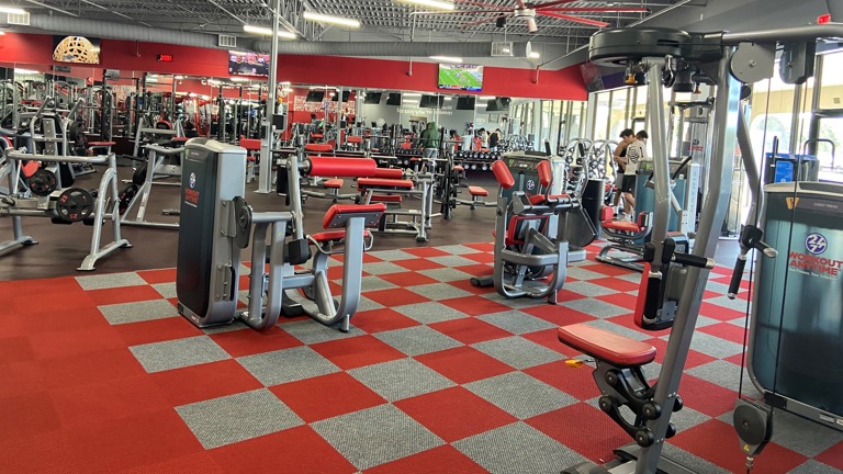 Strength Equipment