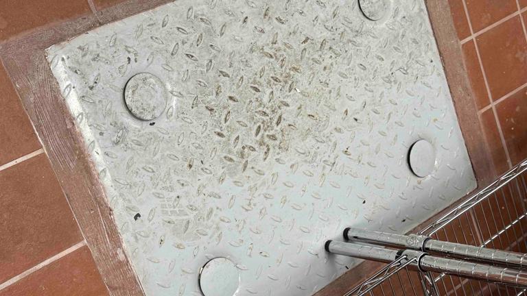 In-ground Grease Trap