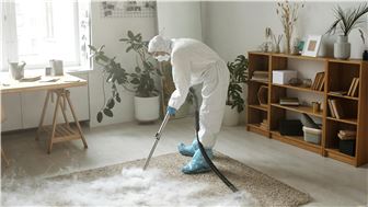 Up-and-Coming Carpet Cleaning Franchise That is Poised for Success
