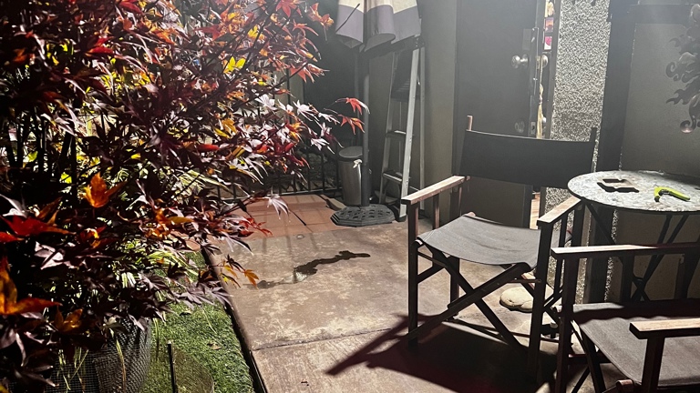 Back Yard   Client sitting waiting area and employee break area 
