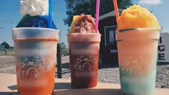 Popular Established Shaved Ice Business