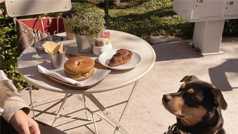 coffee patio