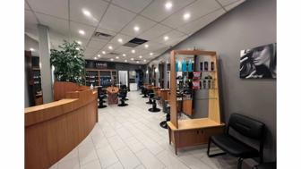 Hair Stylist Carefree Business Opportunity