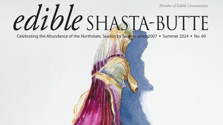 Local watercolor artist's summer 2024 issue.