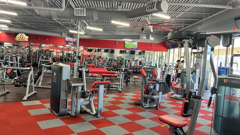 Strength Equipment Strength Equipment