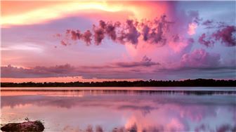 Natural Products Retail, Wholesale and Distribution Orlando, FL