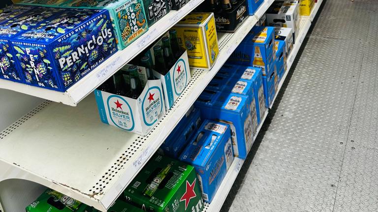 Walking Cooler Box