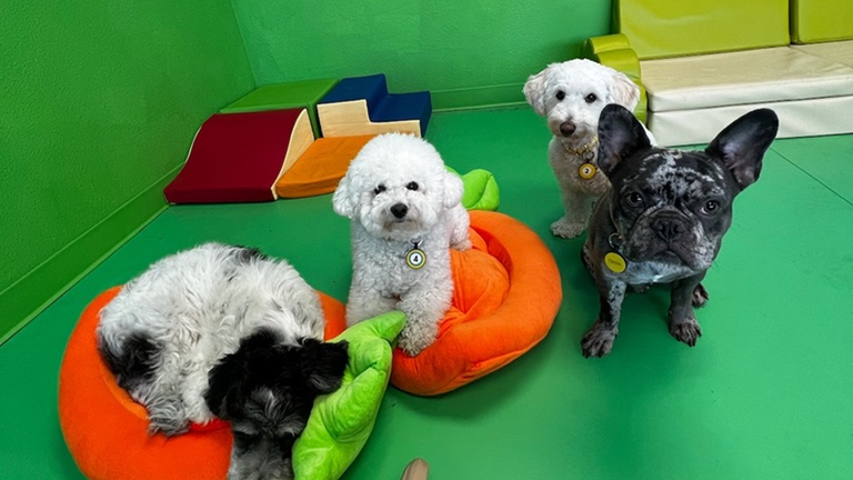 Daycare/Lobby