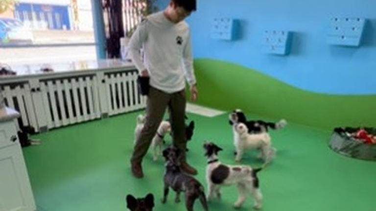 Daycare/Lobby
