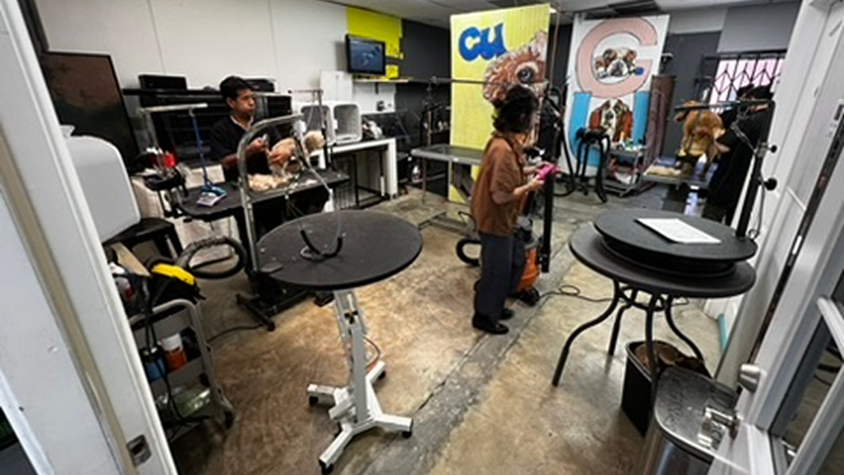 Grooming Room