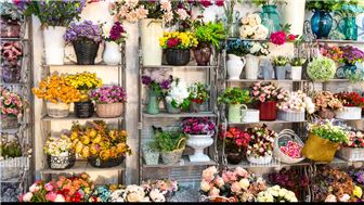 Franchisor & Operating Franchise Opportunity- Artificial Flower Biz