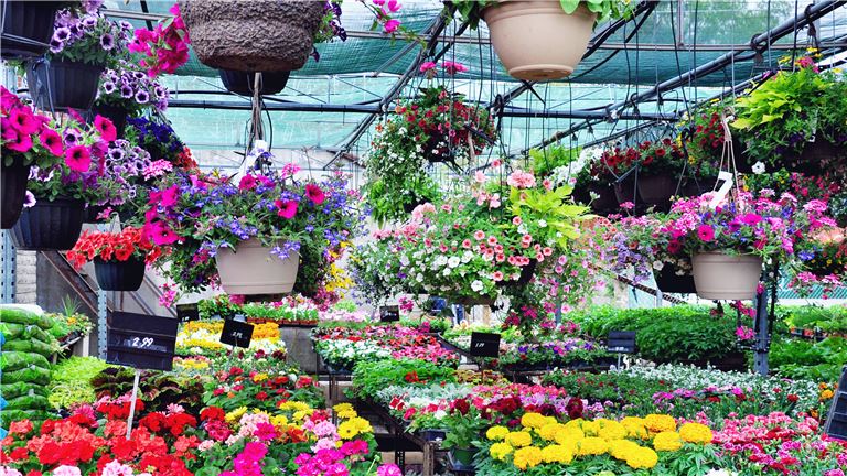 Nursery