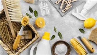 Top-Rated Luxury Organic Cleaning Business