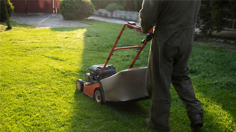 Landscaping For Sale-Longtime Clients