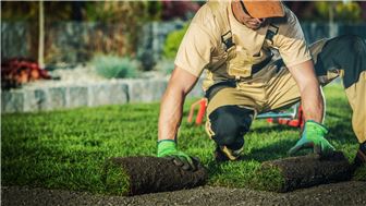 Well-Established Landscaping Business in Houston