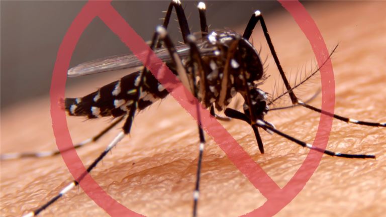Say goodbye to mosquitos, ticks, fleas and more!