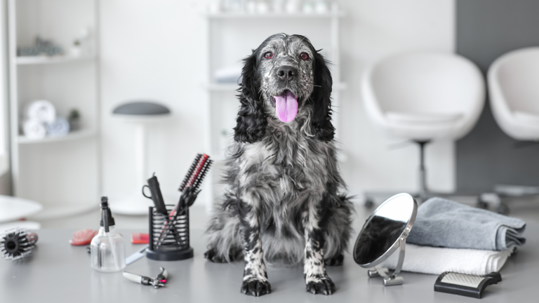 Mesa AZ Grooming Shop Est. 1984