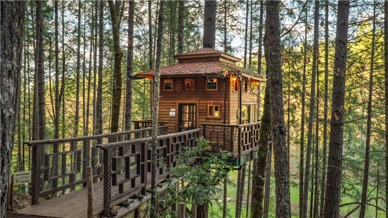 One of the four treehouses!
