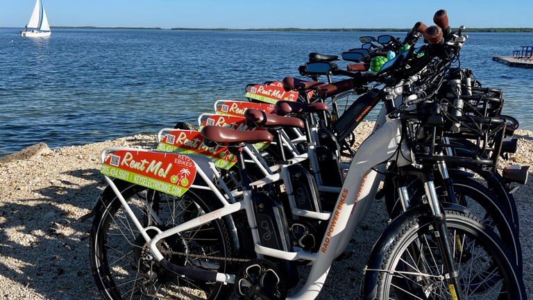 Ready for a group beach ride