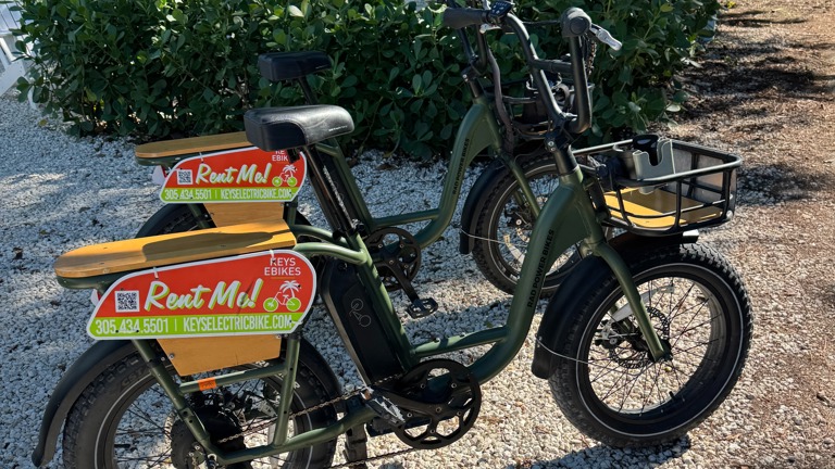 A sample of our fleet