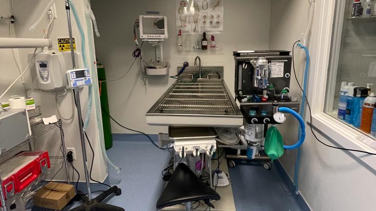 Dental Suite