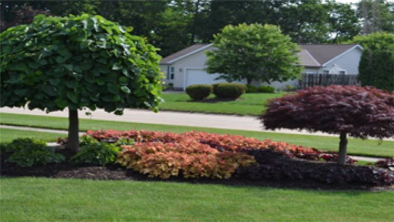 Landscaping 