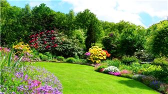 Lawn Maintenance and Tree service #3367