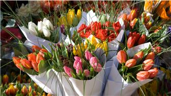 Established High-End Florist – Turnkey with Renowned Designer!