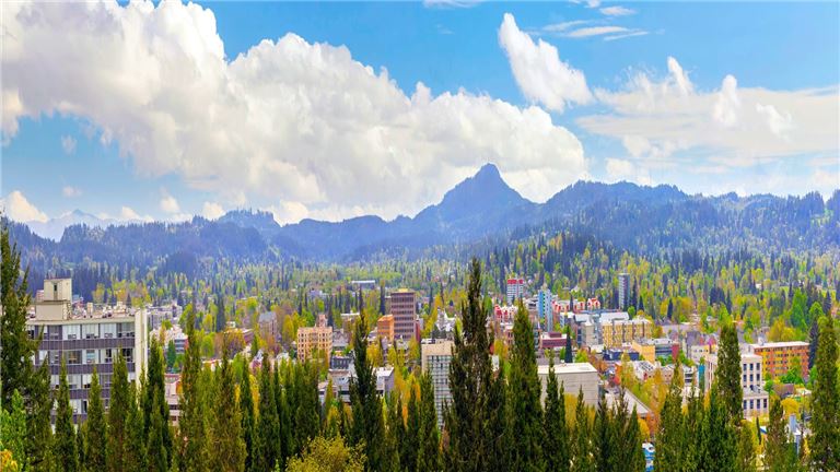 Chiropractic Practice for Sale in Eugene, OR - Top 10% Seller Income